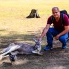 Australien Album